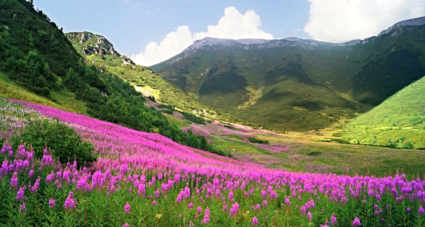 travel insurance Slovakia cestovní pojištění na Slovensko