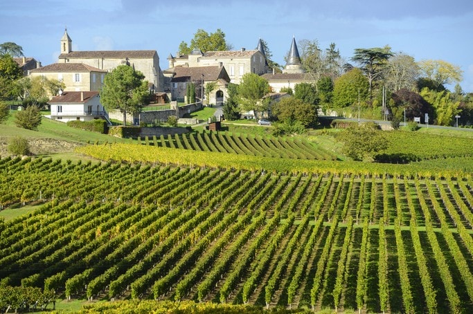 Kam za vínem do Francie? Bordeaux vinice